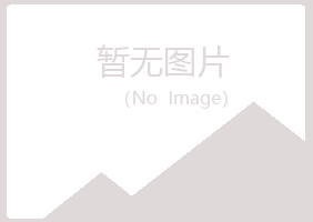 重庆江北夏岚航空航天有限公司